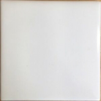 Bianco Vietri 20x20