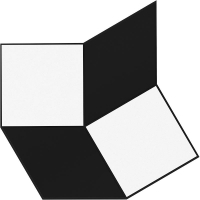 17310013071985-gres-porcellanato-gres-porcellanato-effetto-minimal-distortion-ab-30x30-colore-nero-bianco